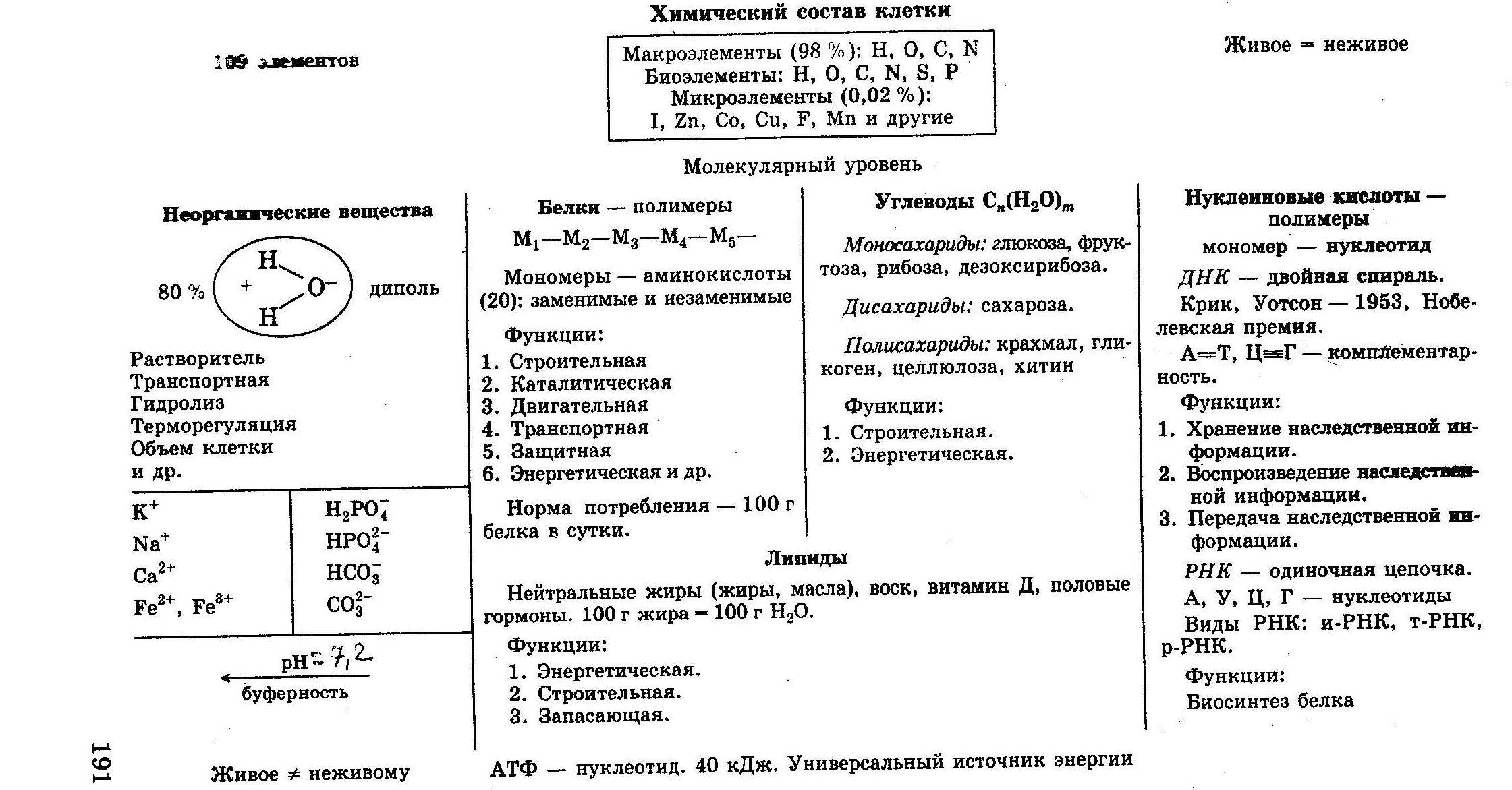 Завершите схему отражающую химический состав клетки